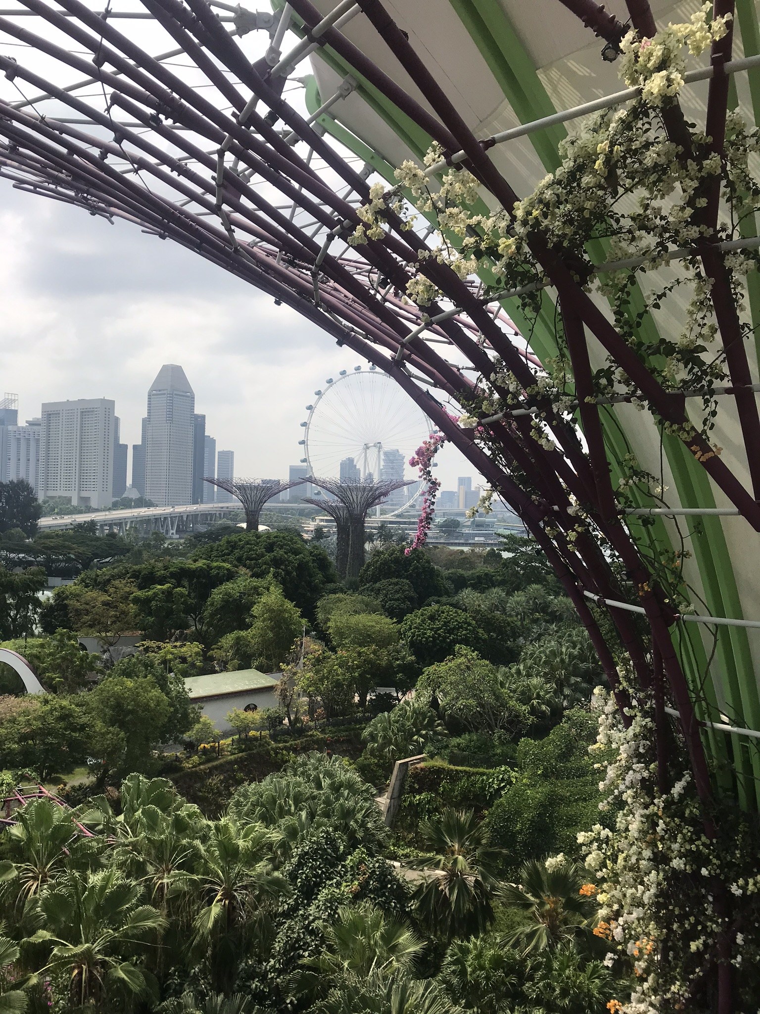 Gardens by the Bay in Singapore