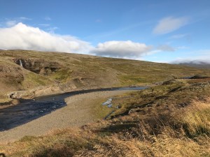 Dry scenery of Iceland
